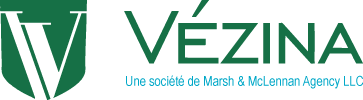 logo Vezina MMA